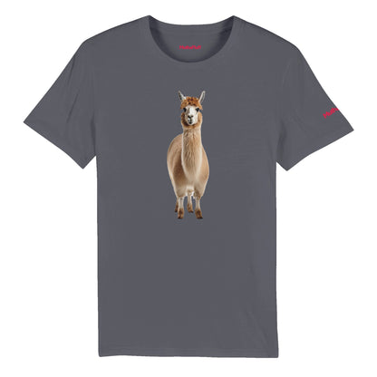 No Probllama Organic Unisex Tee